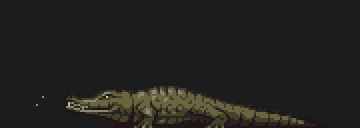 Crocodile